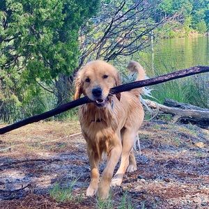 Meet your Posher, Meg